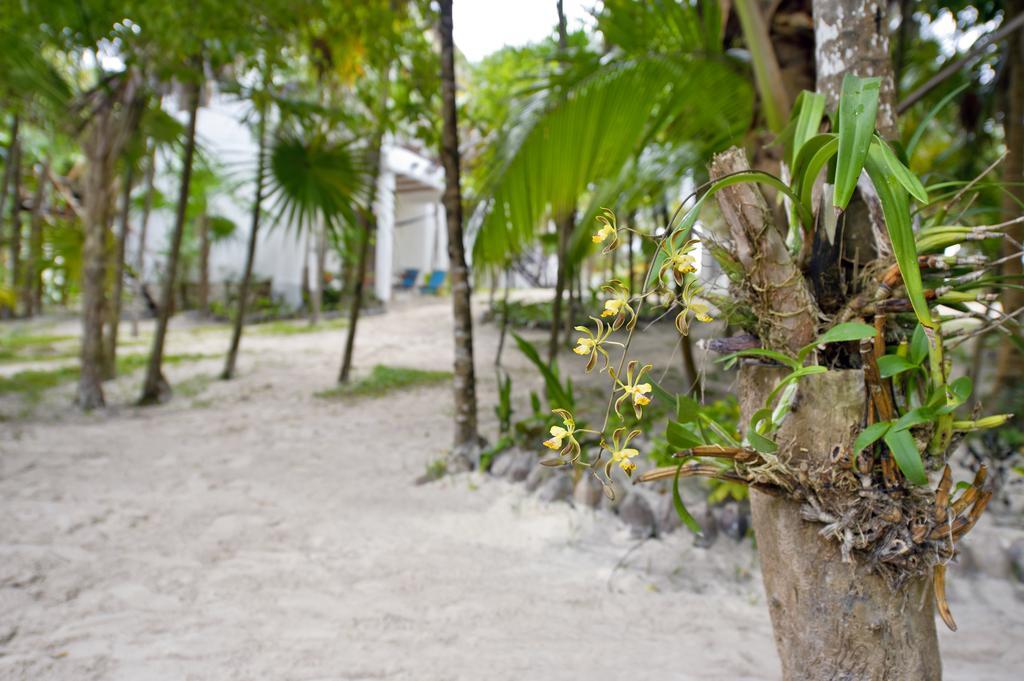 Mestizo Hotel Boutique Tulum Room photo